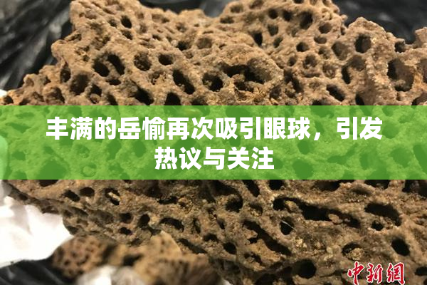 丰满的岳愉再次吸引眼球，引发热议与关注