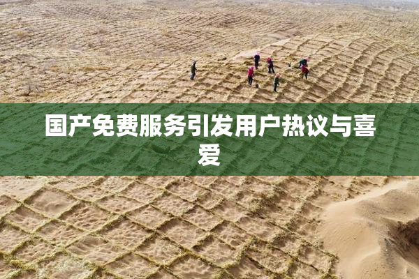 国产免费服务引发用户热议与喜爱