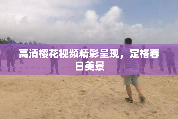 高清樱花视频精彩呈现，定格春日美景