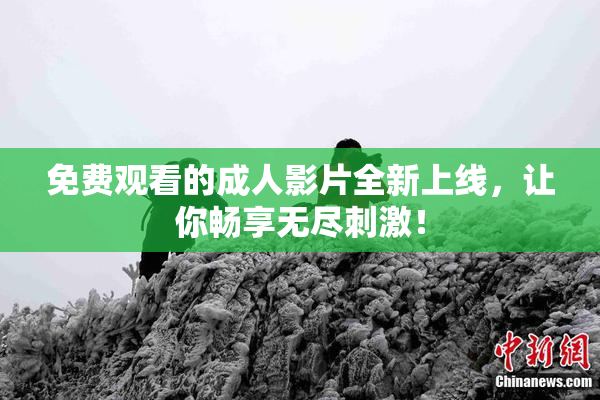 免费观看的成人影片全新上线，让你畅享无尽刺激！