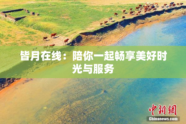 皆月在线：陪你一起畅享美好时光与服务