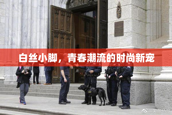 白丝小脚，青春潮流的时尚新宠