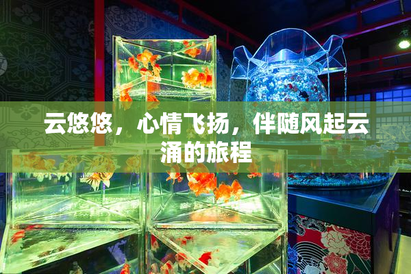 云悠悠，心情飞扬，伴随风起云涌的旅程