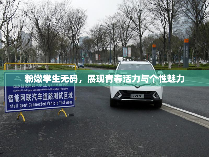 粉嫩学生无码，展现青春活力与个性魅力