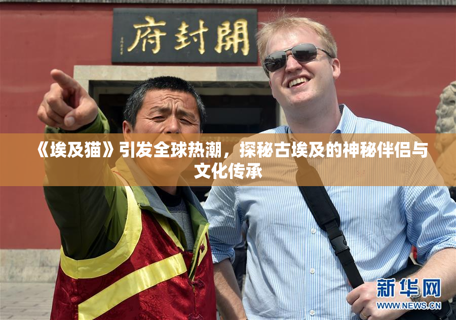 《埃及猫》引发全球热潮，探秘古埃及的神秘伴侣与文化传承