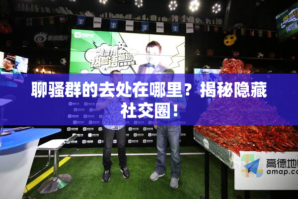 聊骚群的去处在哪里？揭秘隐藏社交圈！