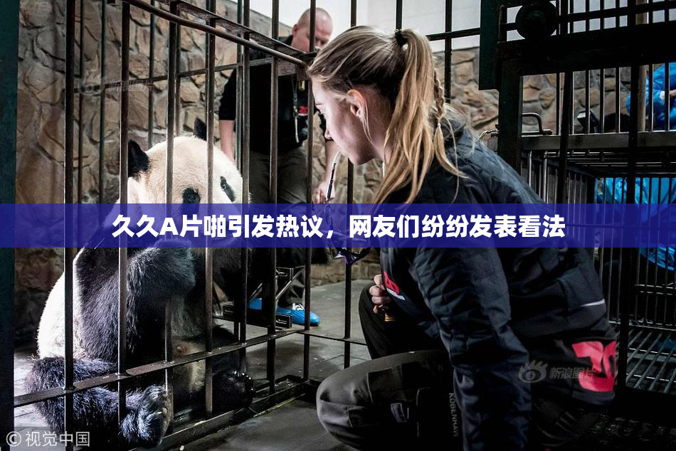久久A片啪引发热议，网友们纷纷发表看法