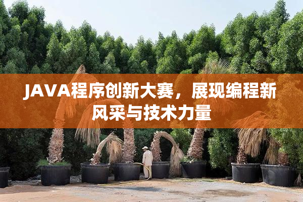 JAVA程序创新大赛，展现编程新风采与技术力量