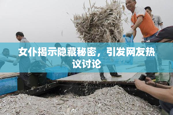 女仆揭示隐藏秘密，引发网友热议讨论