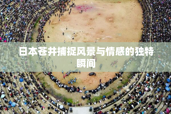 日本苍井捕捉风景与情感的独特瞬间