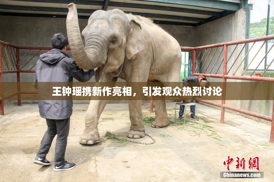王钟瑶携新作亮相，引发观众热烈讨论