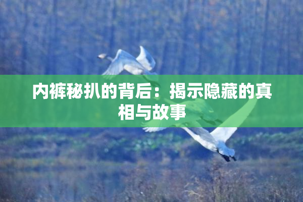 内裤秘扒的背后：揭示隐藏的真相与故事