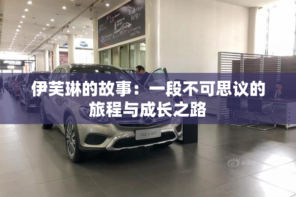 伊芙琳的故事：一段不可思议的旅程与成长之路