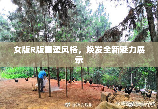 女版R版重塑风格，焕发全新魅力展示