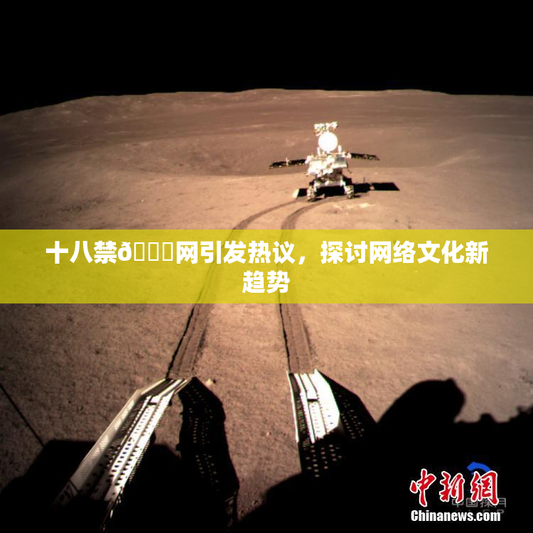 十八禁🔞网引发热议，探讨网络文化新趋势