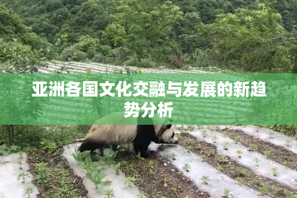 亚洲各国文化交融与发展的新趋势分析