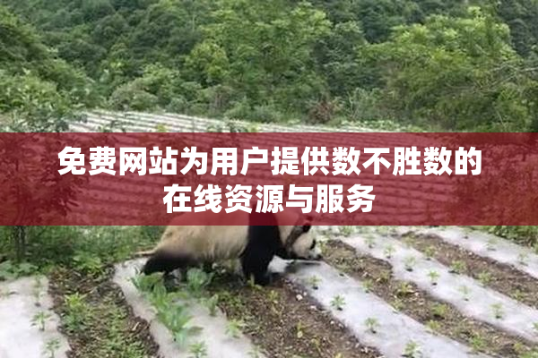 免费网站为用户提供数不胜数的在线资源与服务