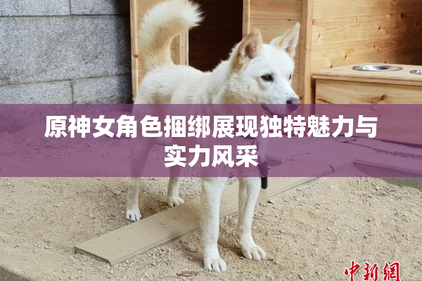 原神女角色捆绑展现独特魅力与实力风采