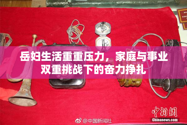 岳妇生活重重压力，家庭与事业双重挑战下的奋力挣扎