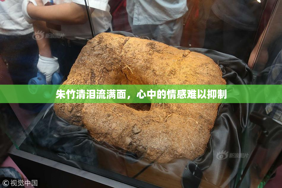 朱竹清泪流满面，心中的情感难以抑制