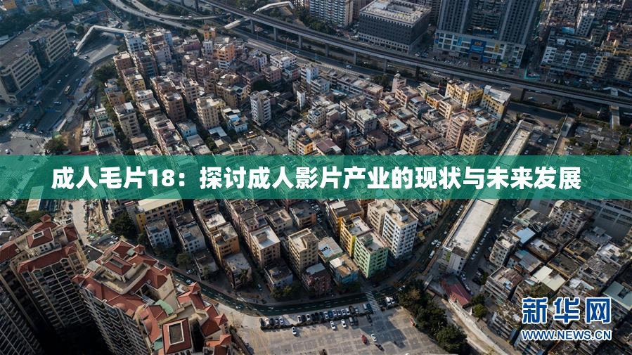成人毛片18：探讨成人影片产业的现状与未来发展