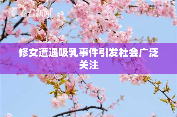修女遭遇吸乳事件引发社会广泛关注