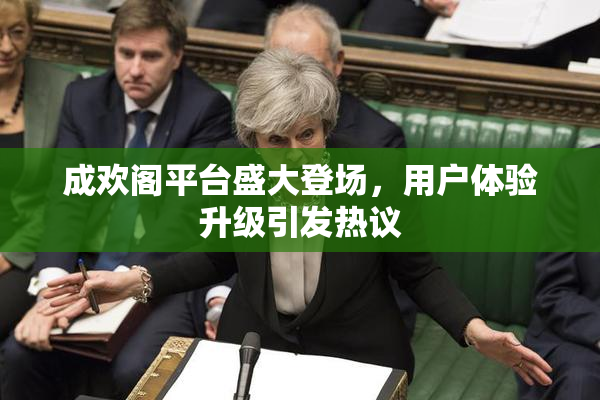 成欢阁平台盛大登场，用户体验升级引发热议