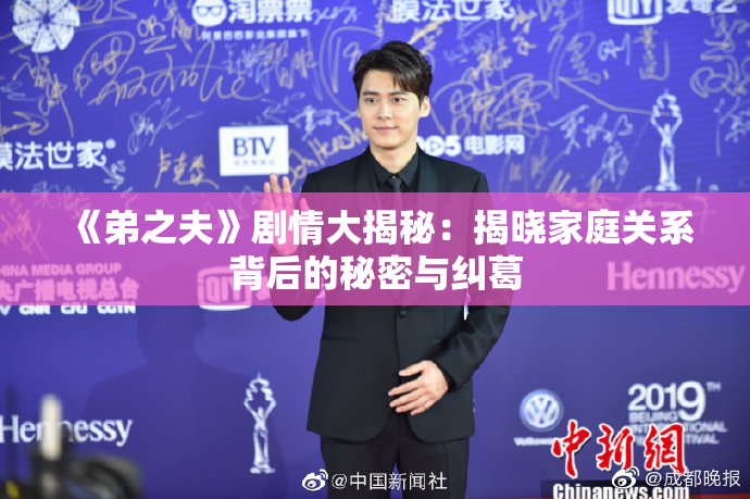 《弟之夫》剧情大揭秘：揭晓家庭关系背后的秘密与纠葛