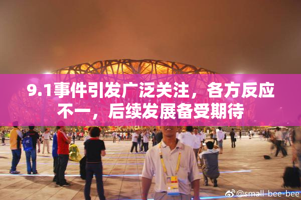 9.1事件引发广泛关注，各方反应不一，后续发展备受期待