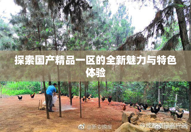 探索国产精品一区的全新魅力与特色体验