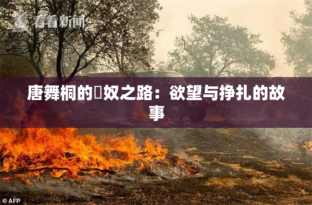 唐舞桐的婬奴之路：欲望与挣扎的故事