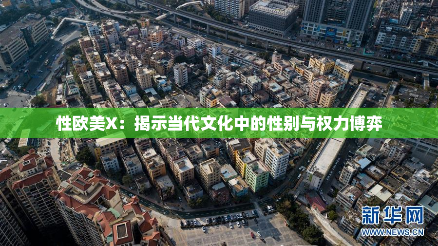 性欧美X：揭示当代文化中的性别与权力博弈