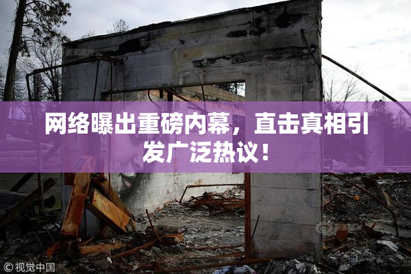 网络曝出重磅内幕，直击真相引发广泛热议！