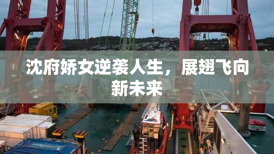 沈府娇女逆袭人生，展翅飞向新未来