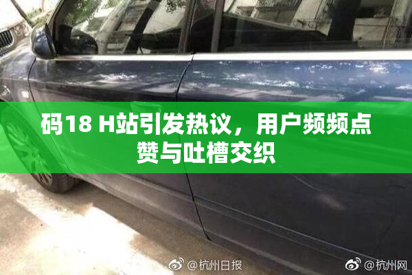 码18 H站引发热议，用户频频点赞与吐槽交织