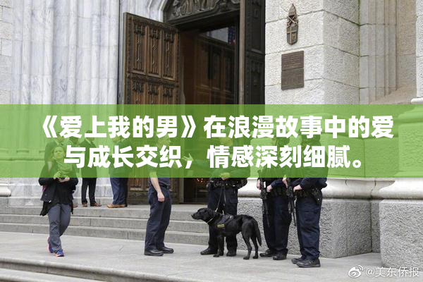 《爱上我的男》在浪漫故事中的爱与成长交织，情感深刻细腻。