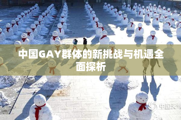 中国GAY群体的新挑战与机遇全面探析