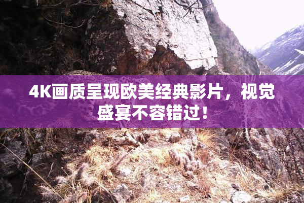 4K画质呈现欧美经典影片，视觉盛宴不容错过！