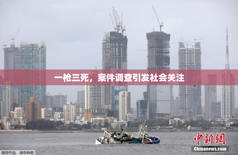 一枪三死，案件调查引发社会关注
