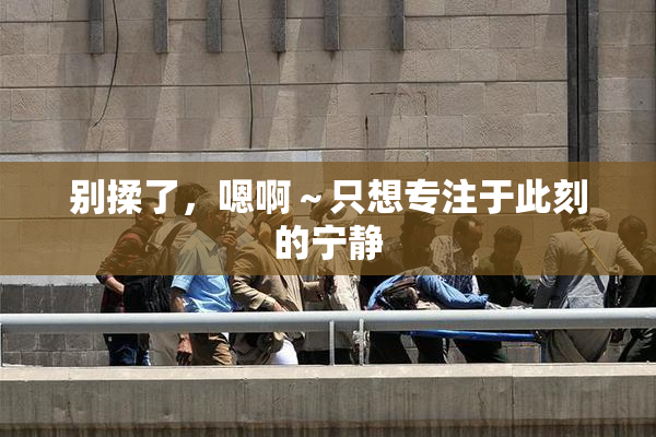 别揉了，嗯啊～只想专注于此刻的宁静