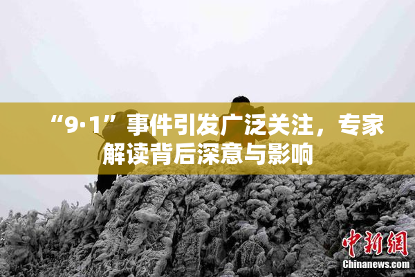 “9·1”事件引发广泛关注，专家解读背后深意与影响