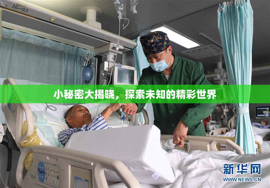 小秘密大揭晓，探索未知的精彩世界