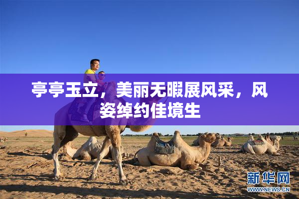 亭亭玉立，美丽无暇展风采，风姿绰约佳境生
