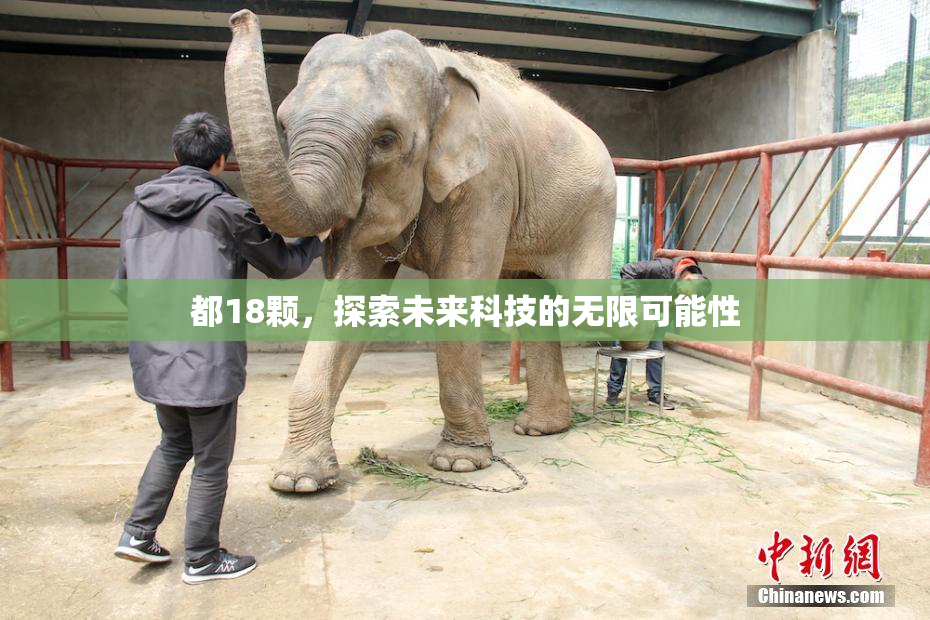都18颗，探索未来科技的无限可能性