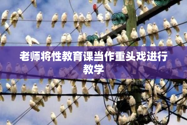 老师将性教育课当作重头戏进行教学