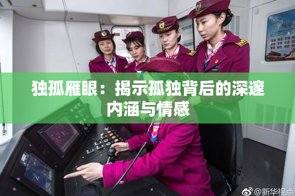 独孤雁眼：揭示孤独背后的深邃内涵与情感