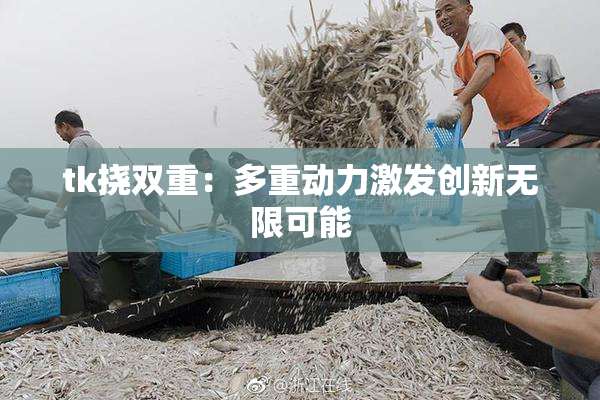 tk挠双重：多重动力激发创新无限可能