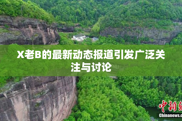 X老B的最新动态报道引发广泛关注与讨论