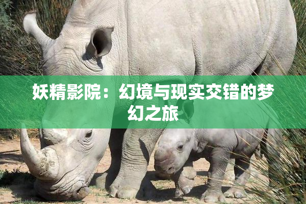 妖精影院：幻境与现实交错的梦幻之旅