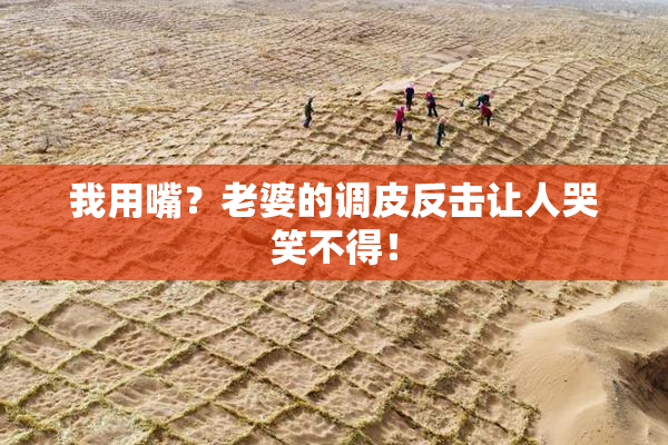 我用嘴？老婆的调皮反击让人哭笑不得！